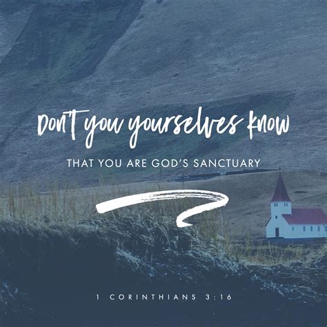 1 corinthians 3:16-17 nrsv